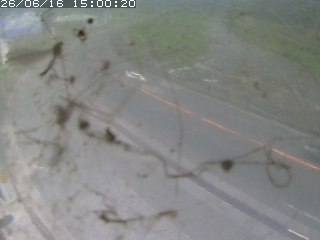 江府町佐川