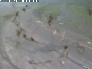 江府町佐川