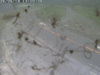 江府町佐川
