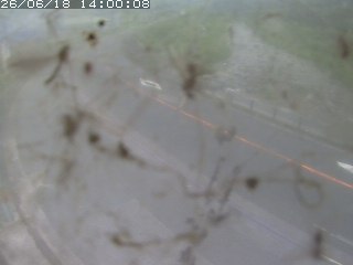 江府町佐川