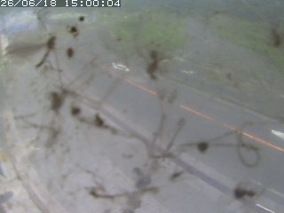 江府町佐川