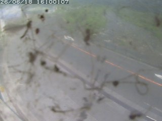 江府町佐川