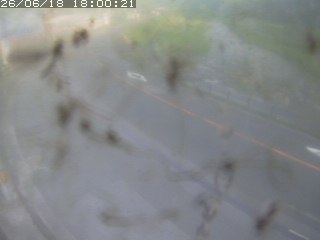江府町佐川