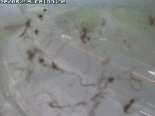 江府町佐川
