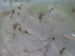江府町佐川
