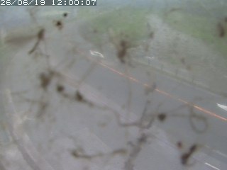 江府町佐川