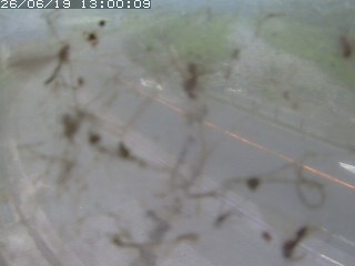 江府町佐川
