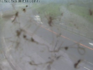 江府町佐川