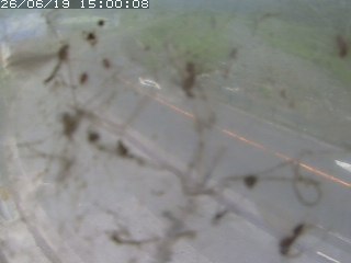 江府町佐川