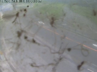 江府町佐川