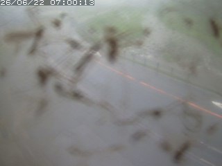 江府町佐川