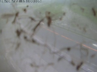 江府町佐川