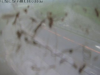 江府町佐川