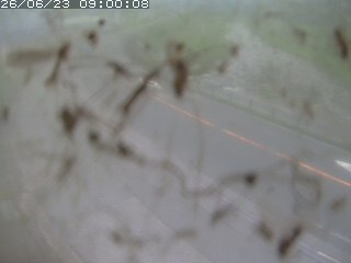 江府町佐川