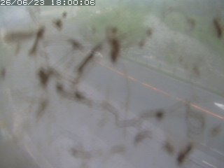 江府町佐川