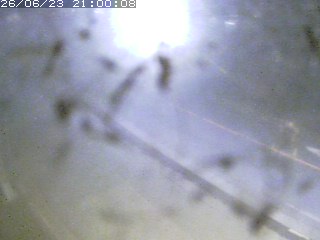 江府町佐川