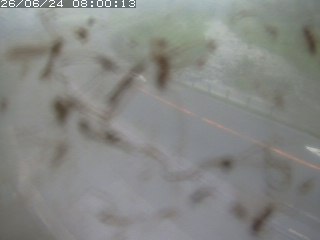 江府町佐川