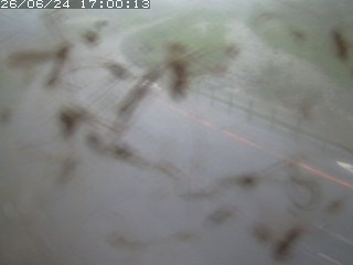 江府町佐川