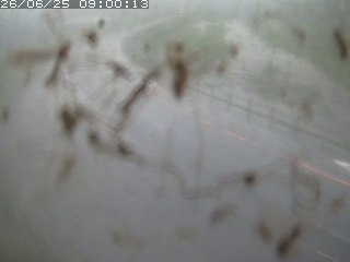 江府町佐川
