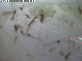 江府町佐川