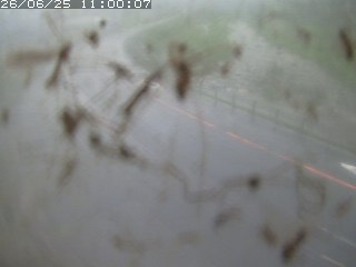 江府町佐川