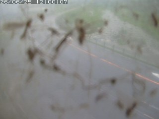 江府町佐川