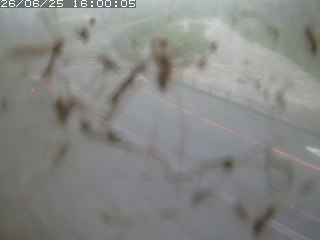 江府町佐川
