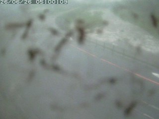 江府町佐川