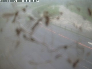 江府町佐川