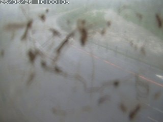 江府町佐川