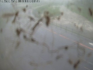 江府町佐川