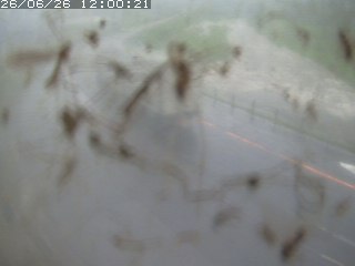江府町佐川
