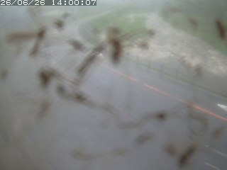 江府町佐川