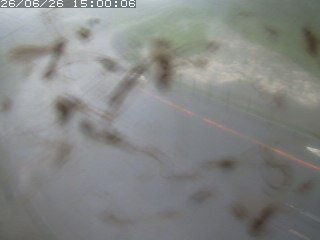 江府町佐川