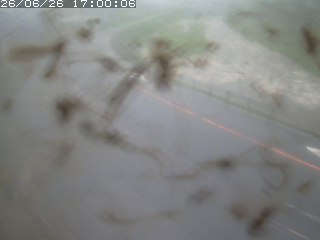 江府町佐川