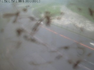江府町佐川