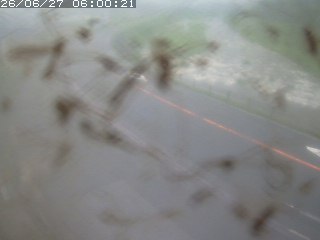 江府町佐川