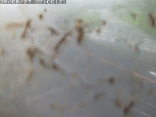 江府町佐川