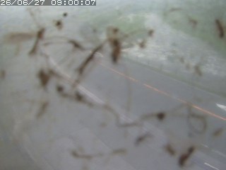 江府町佐川