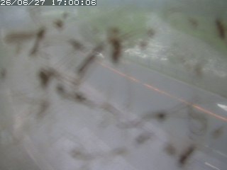 江府町佐川