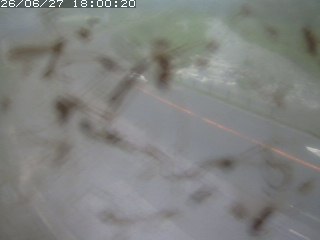 江府町佐川