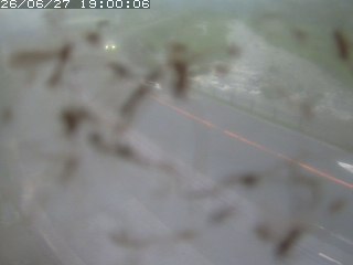 江府町佐川