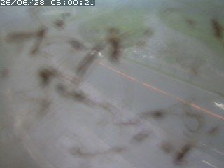 江府町佐川