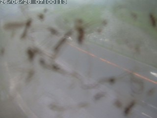 江府町佐川