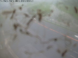 江府町佐川