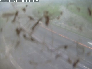 江府町佐川
