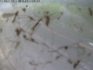 江府町佐川