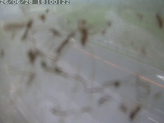 江府町佐川
