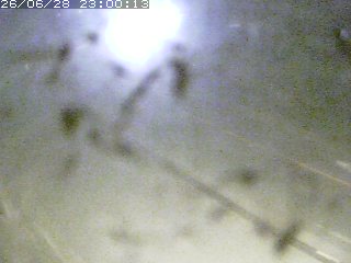 江府町佐川