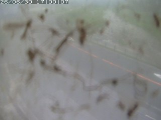 江府町佐川